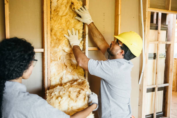 Best Attic Insulation Near Me  in Greenbelt, MD